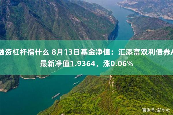 融资杠杆指什么 8月13日基金净值：汇添富双利债券A最新净值1.9364，涨0.06%