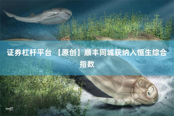 证券杠杆平台 【原创】顺丰同城获纳入恒生综合指数