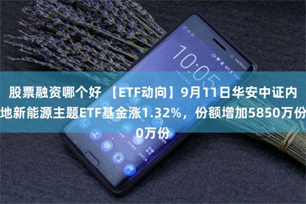 股票融资哪个好 【ETF动向】9月11日华安中证内地新能源主题ETF基金涨1.32%，份额增加5850万份