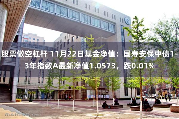 股票做空杠杆 11月22日基金净值：国寿安保中债1-3年指数A最新净值1.0573，跌0.01%