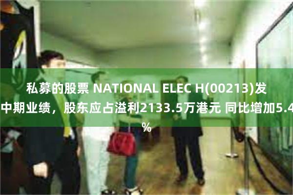 私募的股票 NATIONAL ELEC H(00213)发布中期业绩，股东应占溢利2133.5万港元 同比增加5.4%