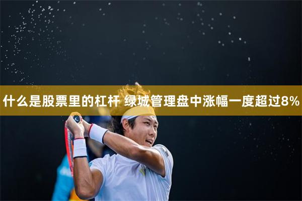 什么是股票里的杠杆 绿城管理盘中涨幅一度超过8%