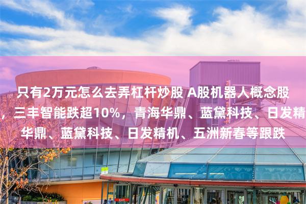 只有2万元怎么去弄杠杆炒股 A股机器人概念股走低！山东矿机跌停，三丰智能跌超10%，青海华鼎、蓝黛科技、日发精机、五洲新春等跟跌