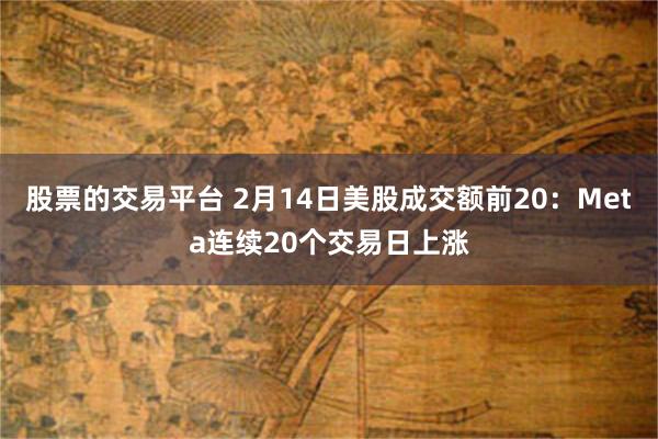 股票的交易平台 2月14日美股成交额前20：Meta连续20个交易日上涨